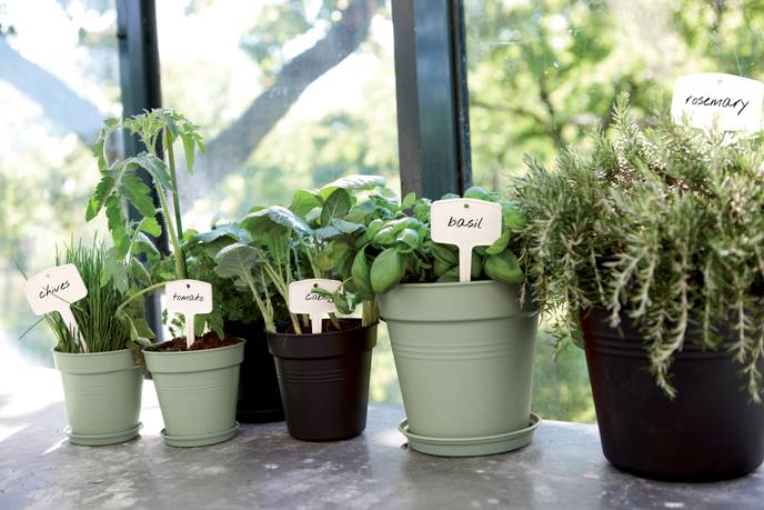 green basics untersetzer 34cm steingrün